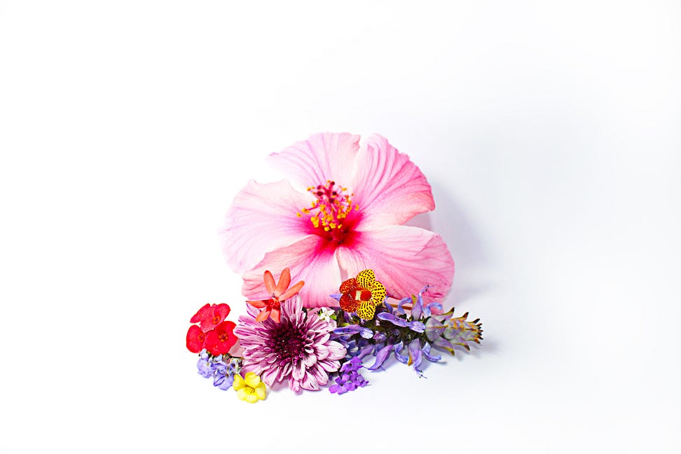 Sending the wife flowers? A virtual assistant can help with that and allow you to focus on something more pressing.