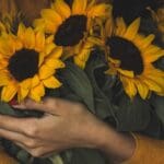 woman holding bunch of sunflowers