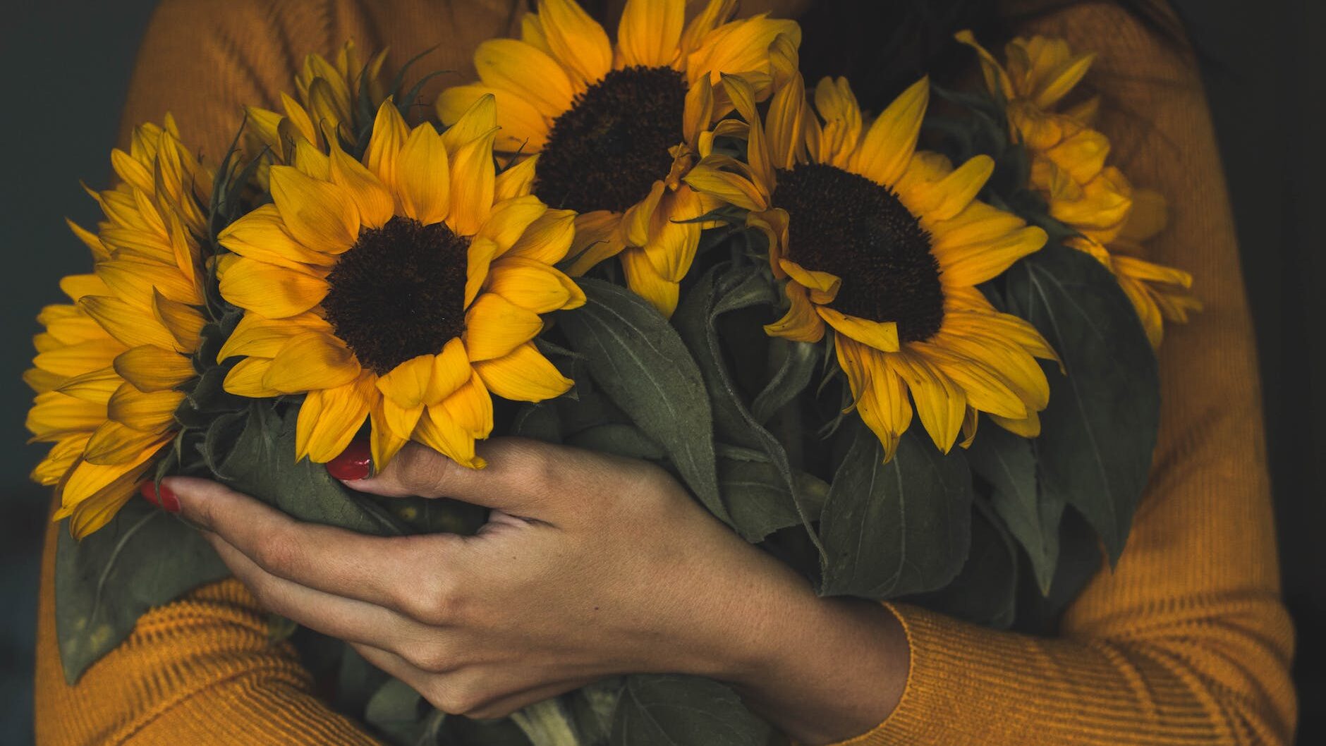 woman holding bunch of sunflowers